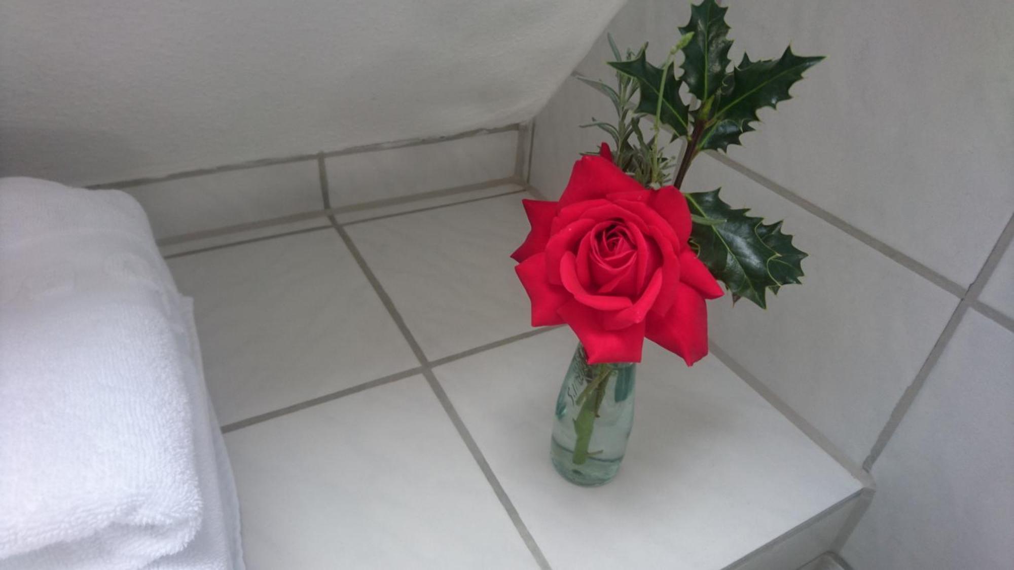 Appartement Michaela Bucher Mit Ladesaeule FDH Exteriör bild